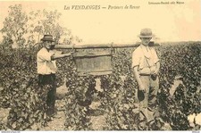 Reproduction CPA - Agriculture