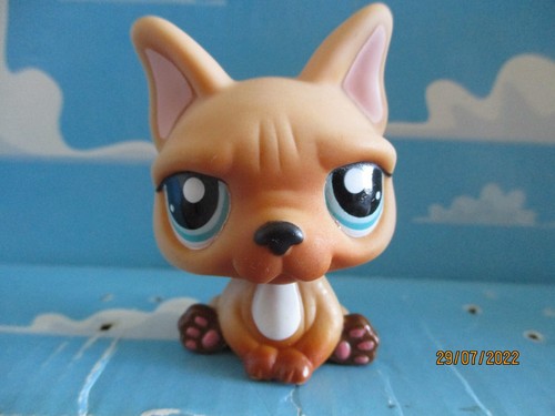 Petshop chien bouledogue - chien,