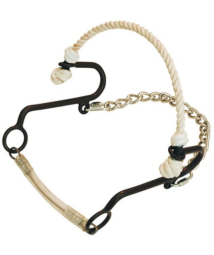Short hackamore fer - en, bruni