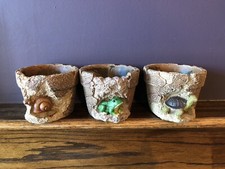 Set Of 3 Succulent Flower Clay Pots