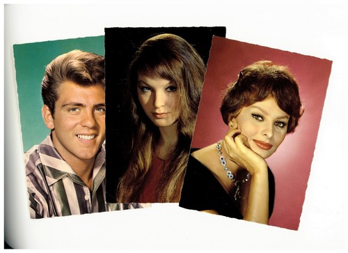 Lot cartes postales - lot,