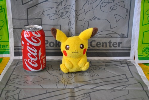 Pokemon center canvas - canvas, pikachu