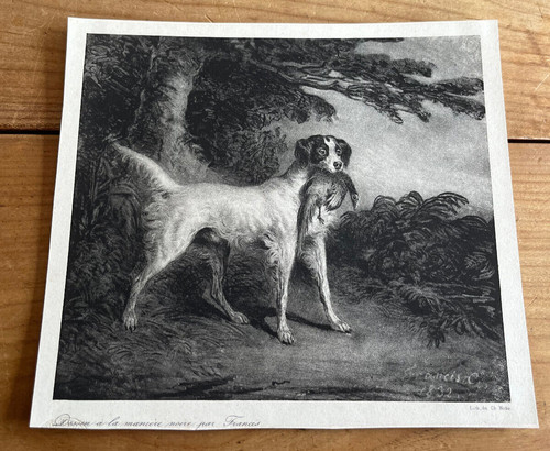 Gravure ancienne chien n77 - chien,