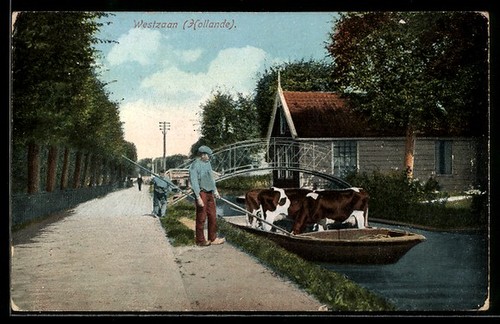 Carte postale westzaan canal - carte, westzaan,