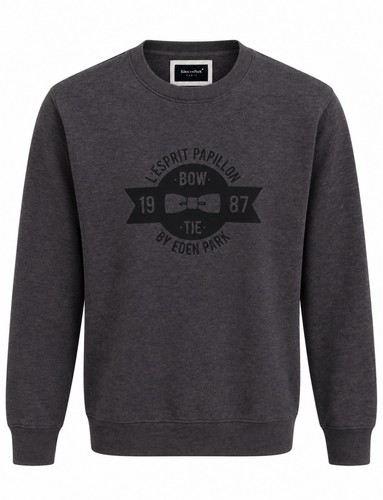 Eden park pull homme - park, col
