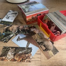 cartes Nestlé merveilles du