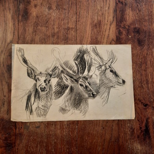 Dessin ancien animalier - dessin,
