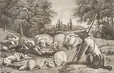 Le loup devenu Berger