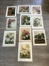 10 Lithographies 1904 orig