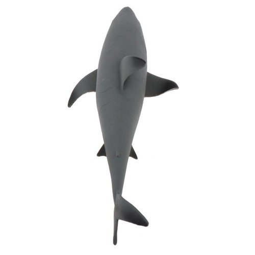 Réaliste modèle requin - réaliste,