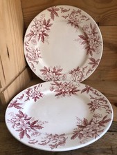 Saint Amand, Amandinoise