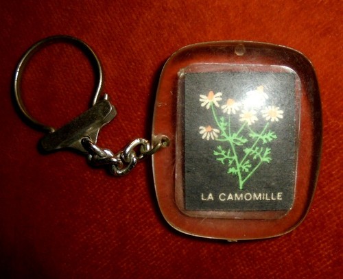 Porte clés key - key, pagés