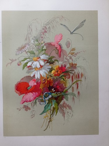 Lithographie