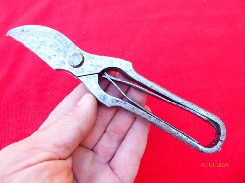 Secateur viticulteur - secateur,
