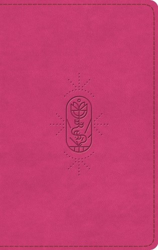 Esv kid bible thinline red - bible,, thinline,