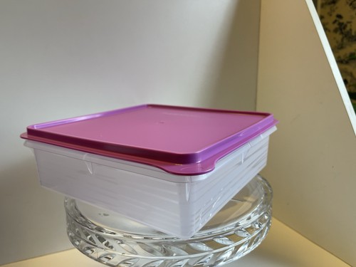 New tupperware snack and - new,