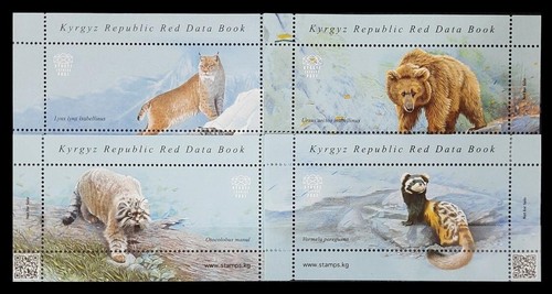 163 kyrgyzstan 2018 ensemble - 163.kyrgyzstan, /
