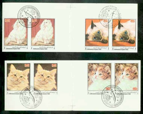 Yemen royalist 1970 - royalist,
