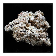 Dundasite, Crocoite. 386.5 ct. Kapi Mine, North Dundas, Tasmania, Australie.