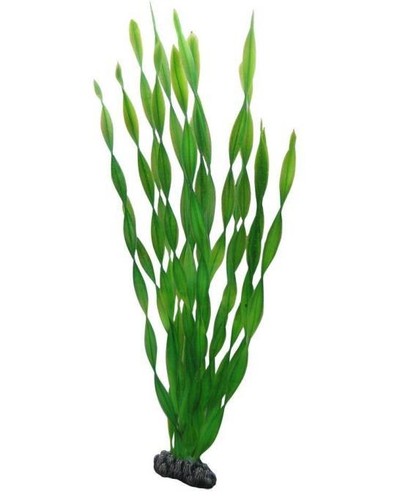 Plante artificielle - plante,