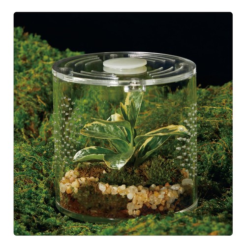 Acrylic terrarium leak - acrylic, |