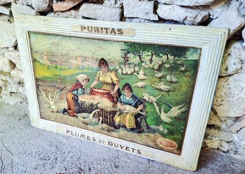Puritas plumes tôle - puritas, plumes-tôle