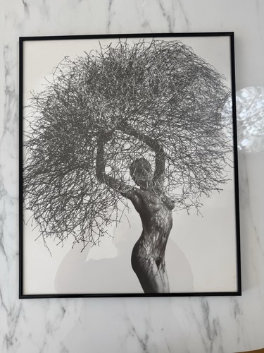 Affiche photo herb ritts neith - photo,