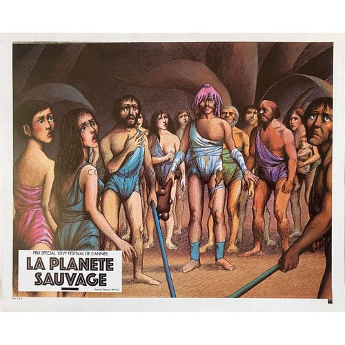 Planete sauvage photo de - sauvage,
