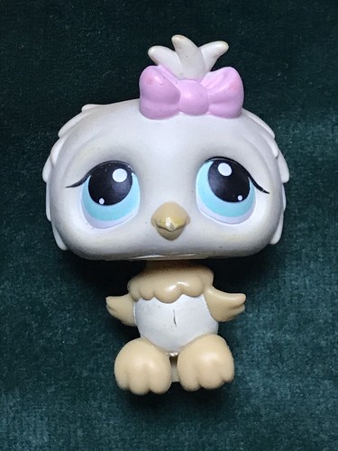 Petshop hibou 147 - 🌺petshop, 147🌺