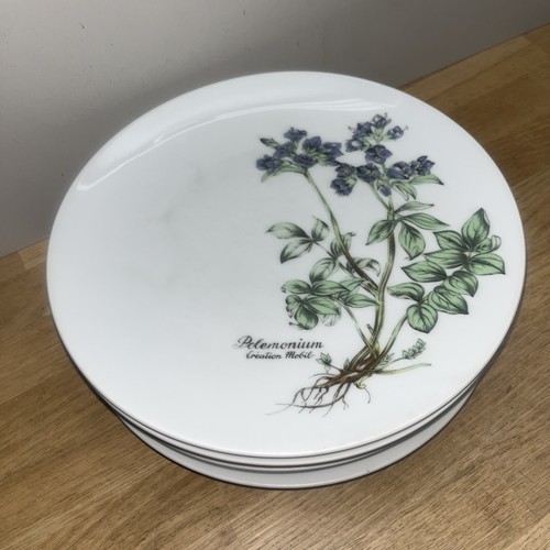Assiettes plates - 6,