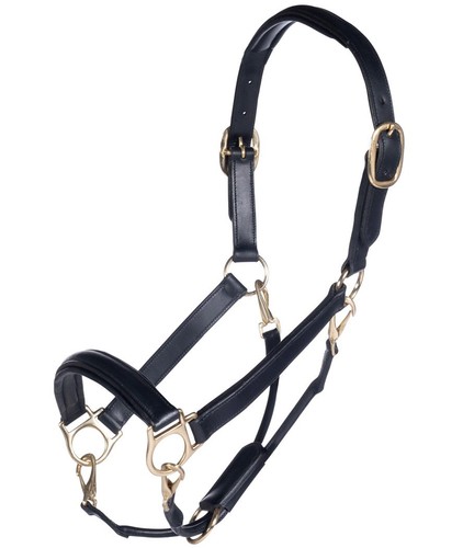 Harnais équitation cuir - d'équitation, en