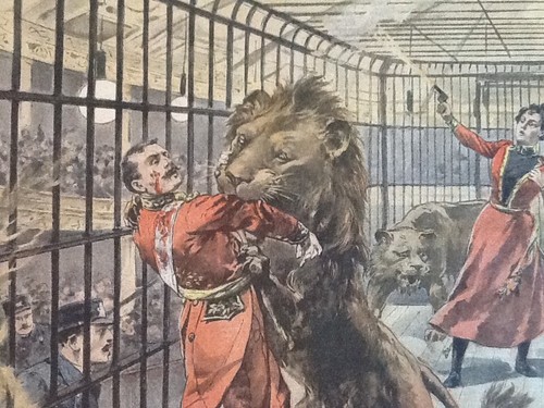 Petit journal un dompteur - petit,
