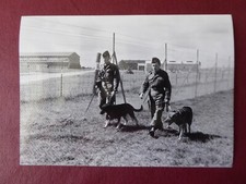PHOTO ECPA ARMEE DE L'AIR FUSILIER MAITRE CHIEN BASE AERIENNE