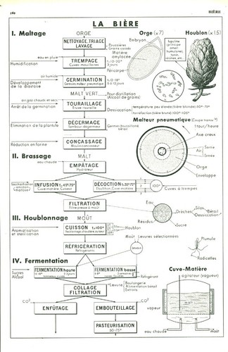 Document ancien bière - document, la
