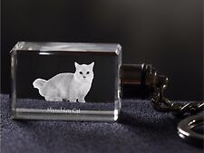 Munchkin, Chat Cristal