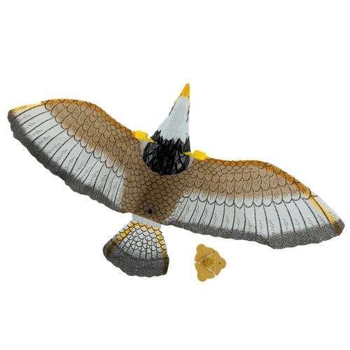 Flying bird hawk - 1, flying-bird
