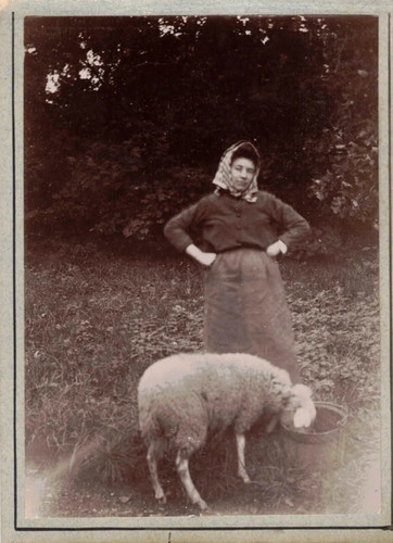 France paysanne mouton - -,