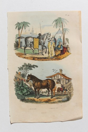 Gravure 1835 dictionnaire - 1835,