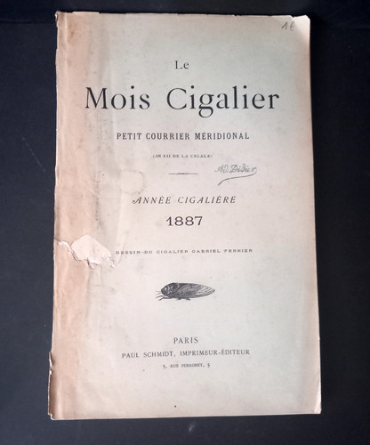 Mois cigalier petit - cigalier,