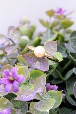 Bague or centrée d'une perle de culture blanche Or 750 Millième (18 CT) 3,57g