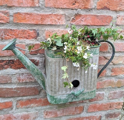Mur nichoir oiseaux pot - mur, /