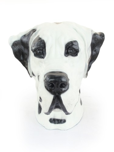 Dogue allemand grand tête - dogue,