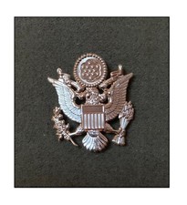 US AAF ww2 Insigne Casquette crusher Air force Pilote Chasse FAFL RAF Air Luft