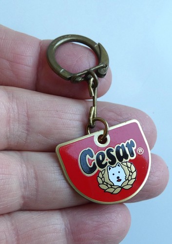 Porte cle plaque - cesar, chien