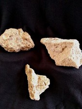 Authentiques Morceaux du MUR de BERLIN