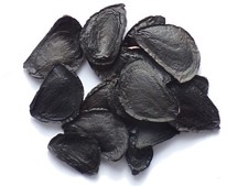 Yucca Filamentosa – Yucca Filamenteux - SEM15