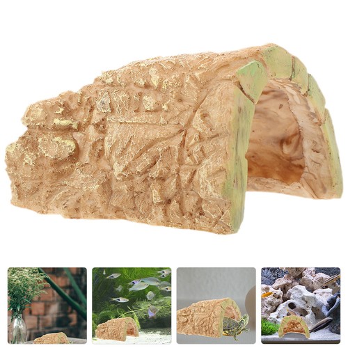 Décoration terrarium de - ,