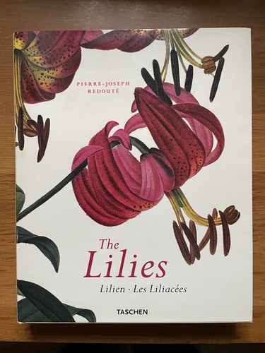 The lilies les liliacées - lilies, /