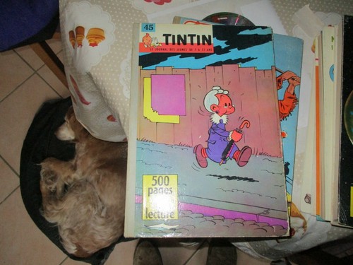 Reliure journal tintin france - journal,