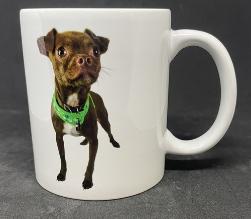 Chihuahua dog breed - breed, ceramic
